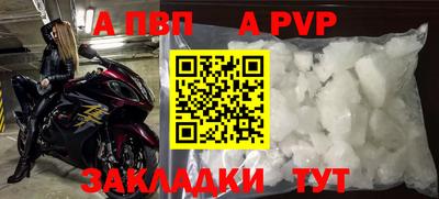 стаф Камышлов