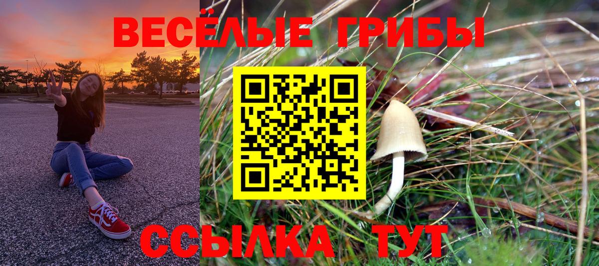 LSD-25  Вход с VPN  Конопля  Вейп ТГК  Alpha-PVP СК   Мефедрон кристаллы  Гашиш  ГАШИШ  Грозный  АМФ  