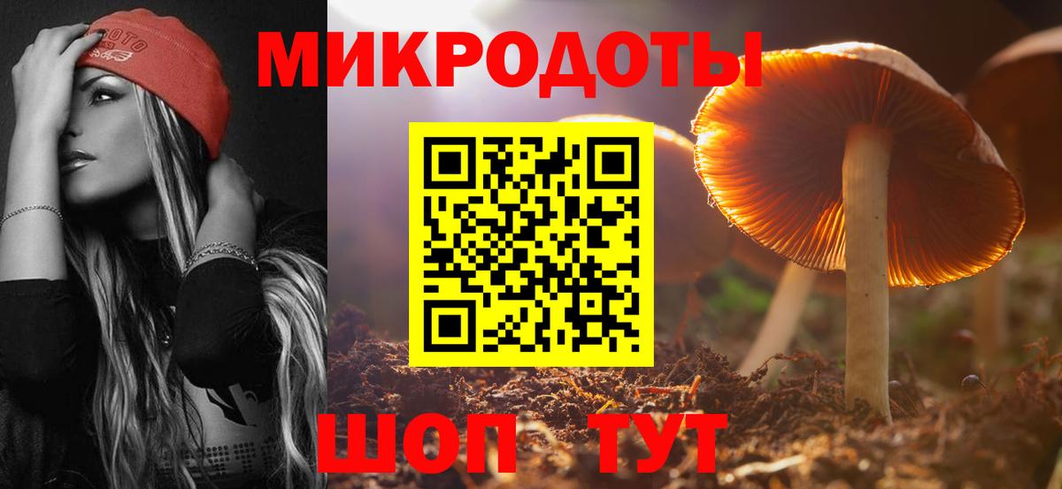 Грозный  Псилоцибиновые грибы прущие грибы  Вход с VPN 